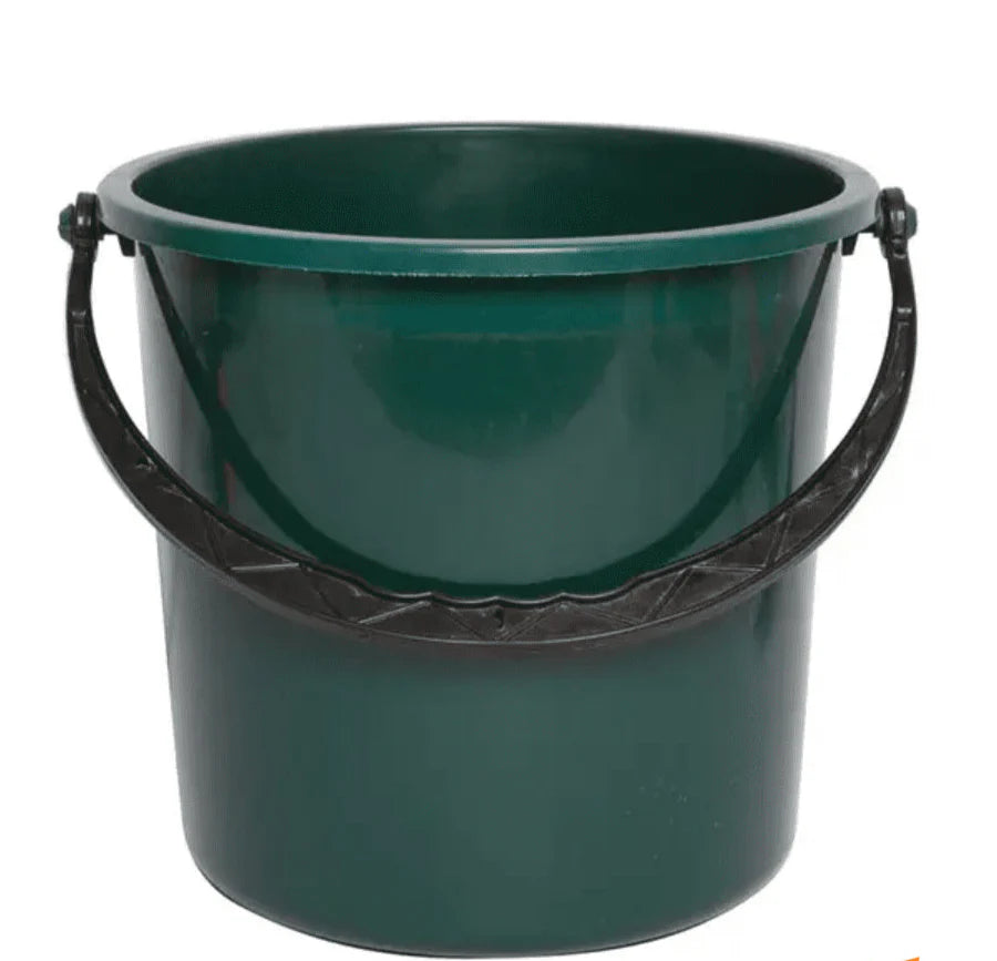 AGORA Galeata 13 L - WALTI