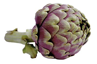 Anghinare (Cynara scolymus)