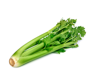 Apio (Apium graveolens)