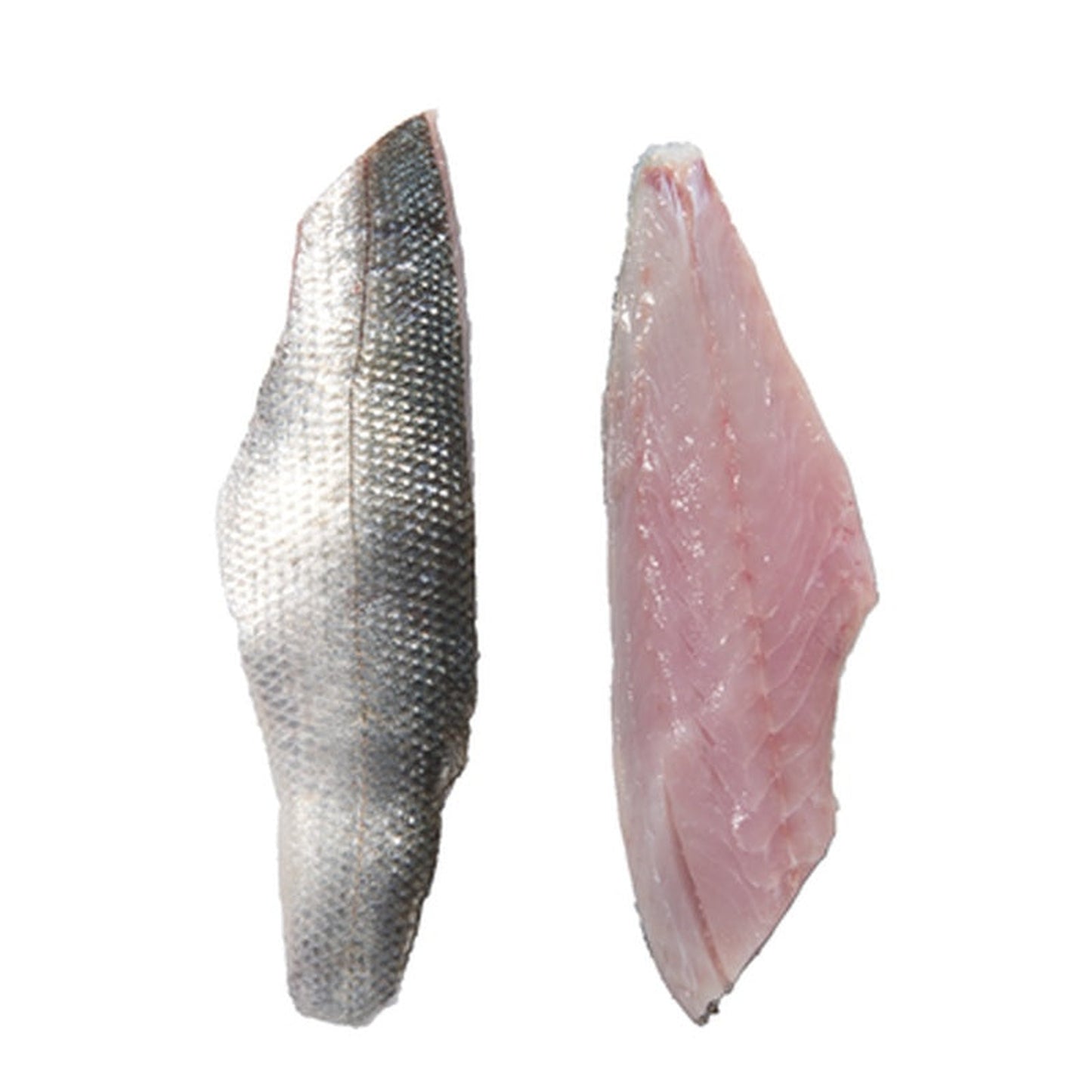 Biban de Mare Salbatic File pret/kg