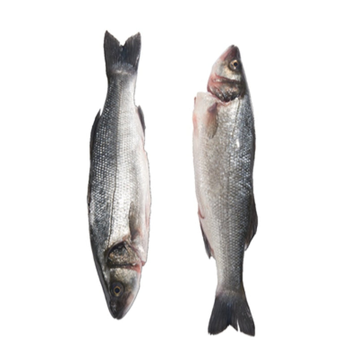 Biban de mare file 125 g +