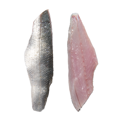 Biban de Mare Salbatic File