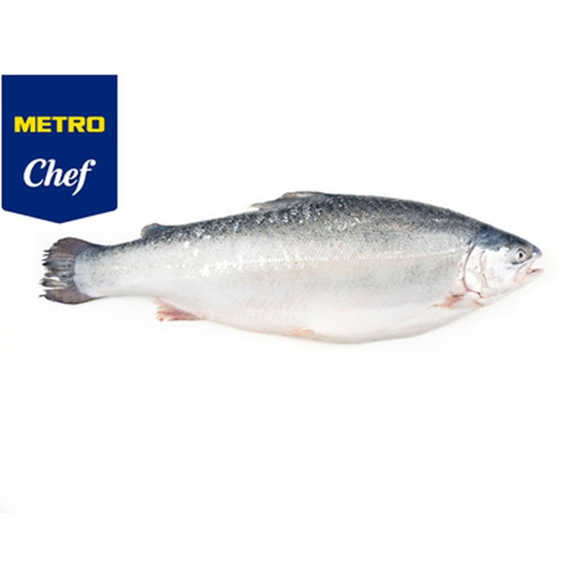 Chef Pastrav Somonat de Fiord pret/kg (Calibru 3 - 4 Kg)