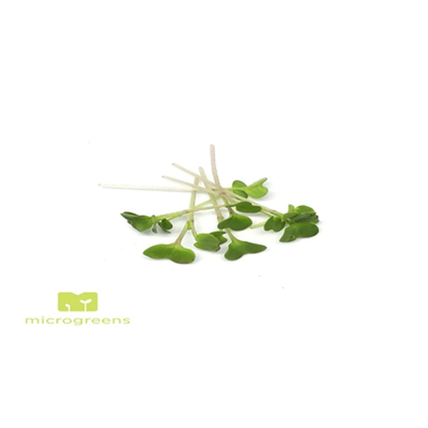 Chef Vlastari de Broccoli 30 g