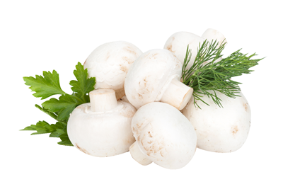 Ciuperci Champignon Calibru 4-6