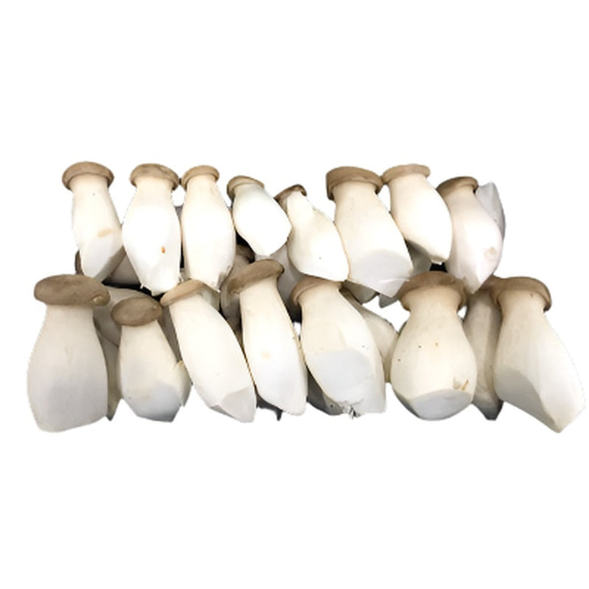 Ciuperci Mini King Oysters 300 g