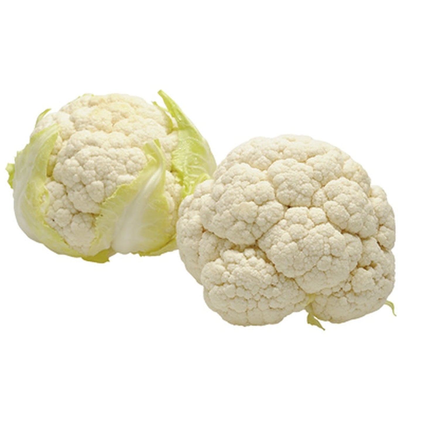 Conopida (Brassica oleracea) 1 kg