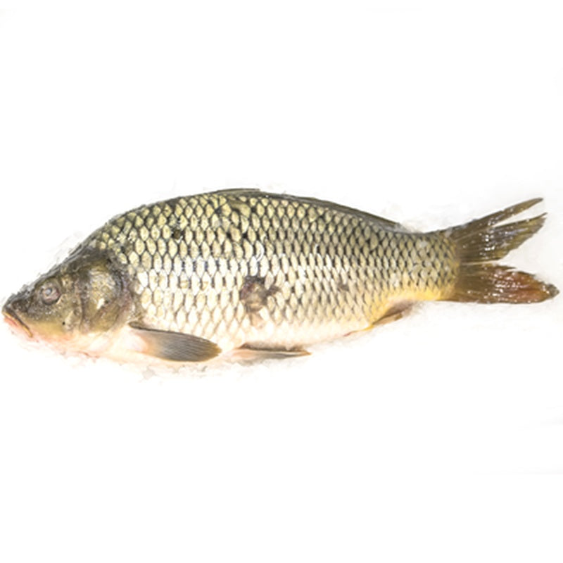 Crap Intreg pret/kg (cca. 1 Kg+)