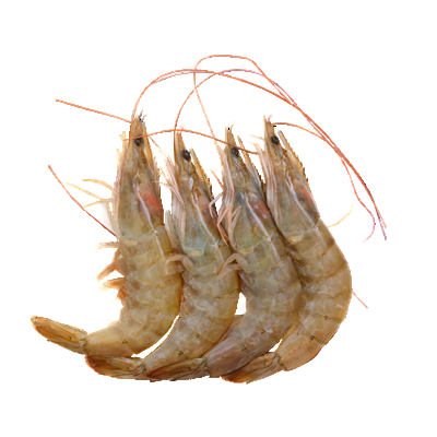 Creveti Cruzi Calibru 20-30 bucati/ Kg