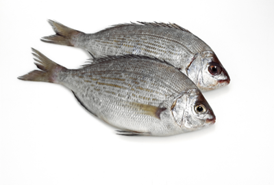 Dorada Neagra Calibru 500 g+