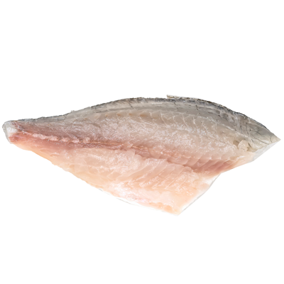 Dorada Regala Salbatica File