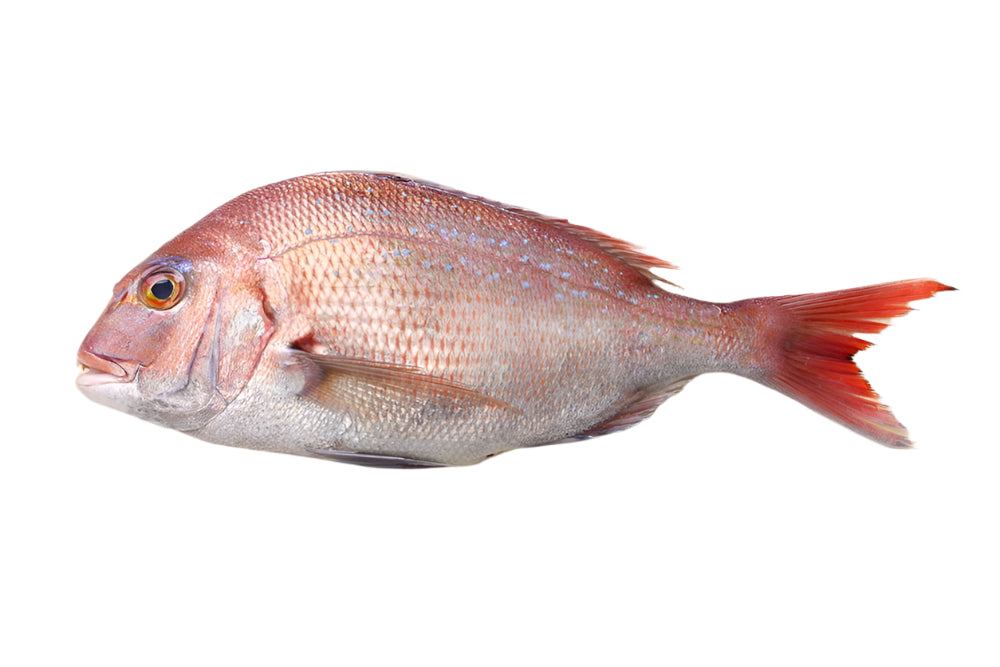 Dorada Rosie 600-800 g