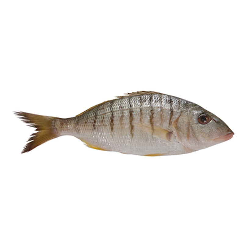 Dorada Dungata pret/kg (cca. 500 g)
