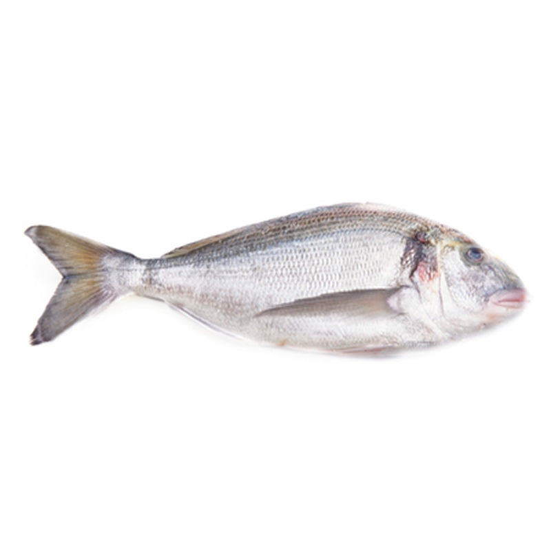 Dorada Eviscerata pret/kg (Calibru 400-600 g)
