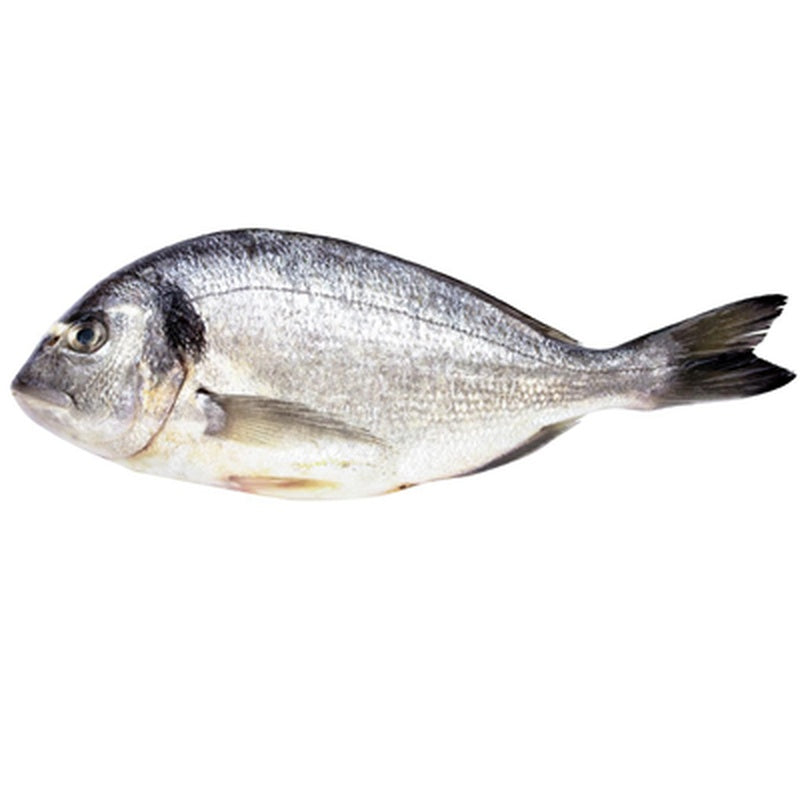 Dorada Regala Salbatica Eviscerata pret/kg