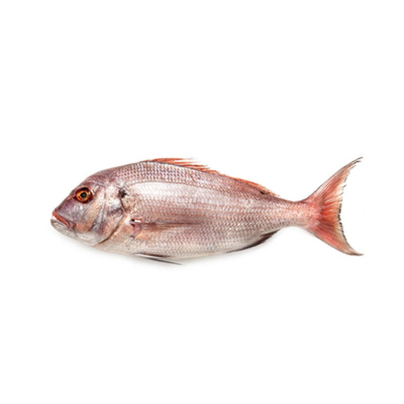 Dorada Rosie pret/kg (Calibru 800 -1000 g)