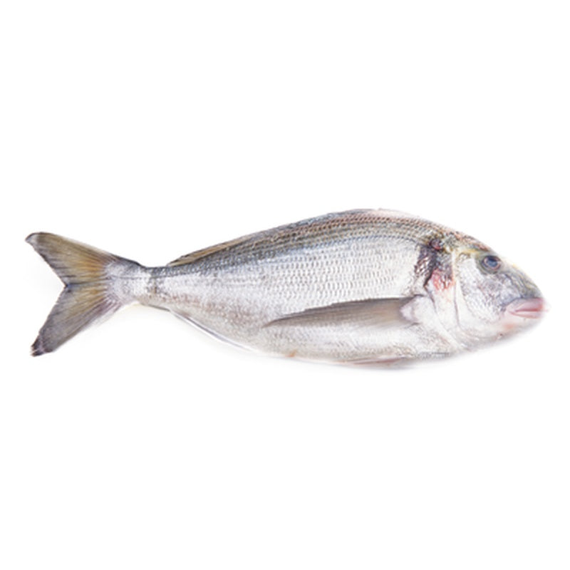 Dorada regala (cca. 400-600 g) preț/kg