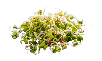 Germeni de Ridiche Eco 60 g