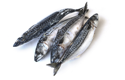 Macrou Eviscerat 300-500 g 19 Kg ❄