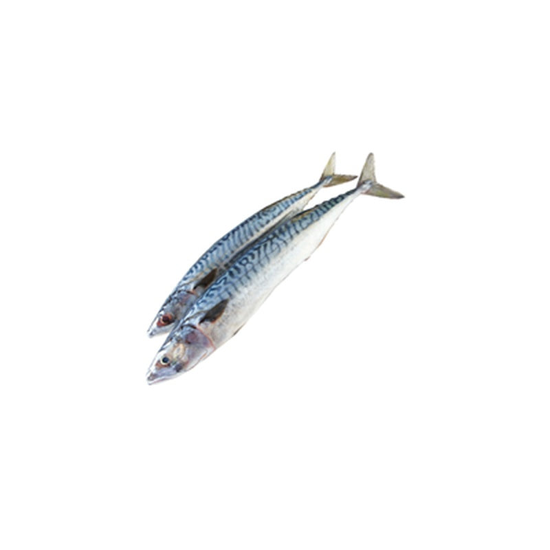 Macrou File pret/kg