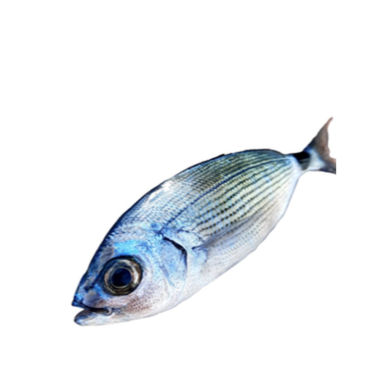 Oblada pret/kg (cca. 200 g+)