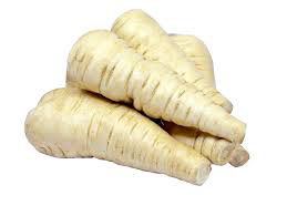 Pastarnac (Pastinaca sativa)