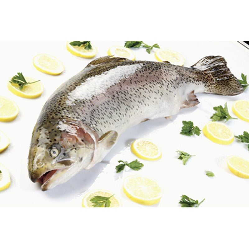 Pastrav Somonat Eviscerat preț/kg (cca. 400 g+)