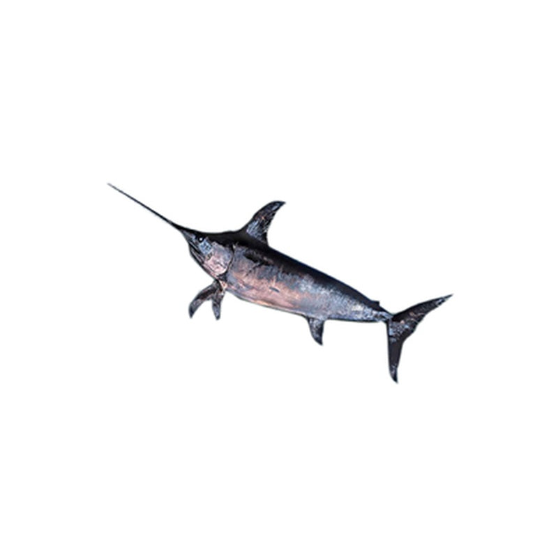Peste Spada Eviscerat pret/kg (cca. 20 Kg+)