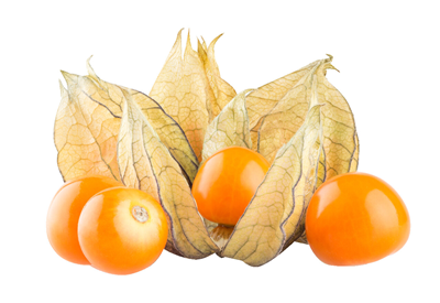 Physalis 100 g