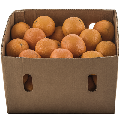 Portocale pentru Suc