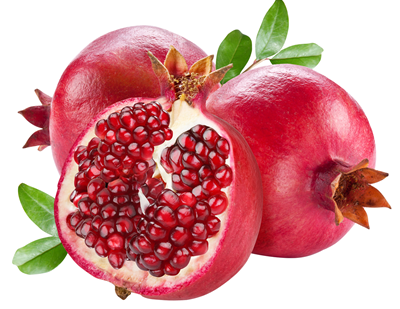 Rodii (Punica granatum)