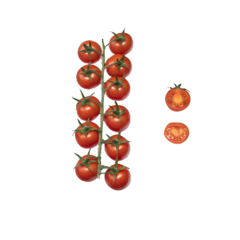 Rosii Ciorchine pret/ kg