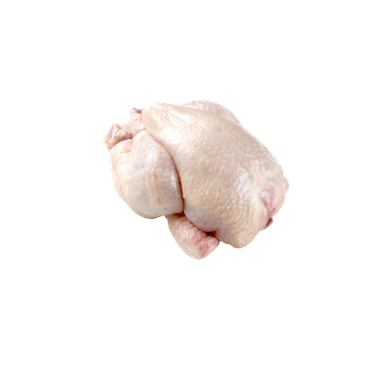 Rotterdam Pui Alb Poussin 500 g ❄