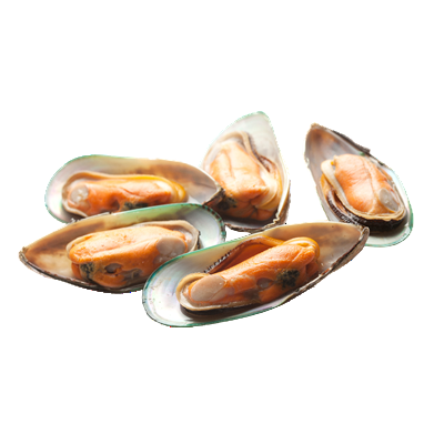 Scoici Greenshell Jumatati Cochilie 1 Kg ❄