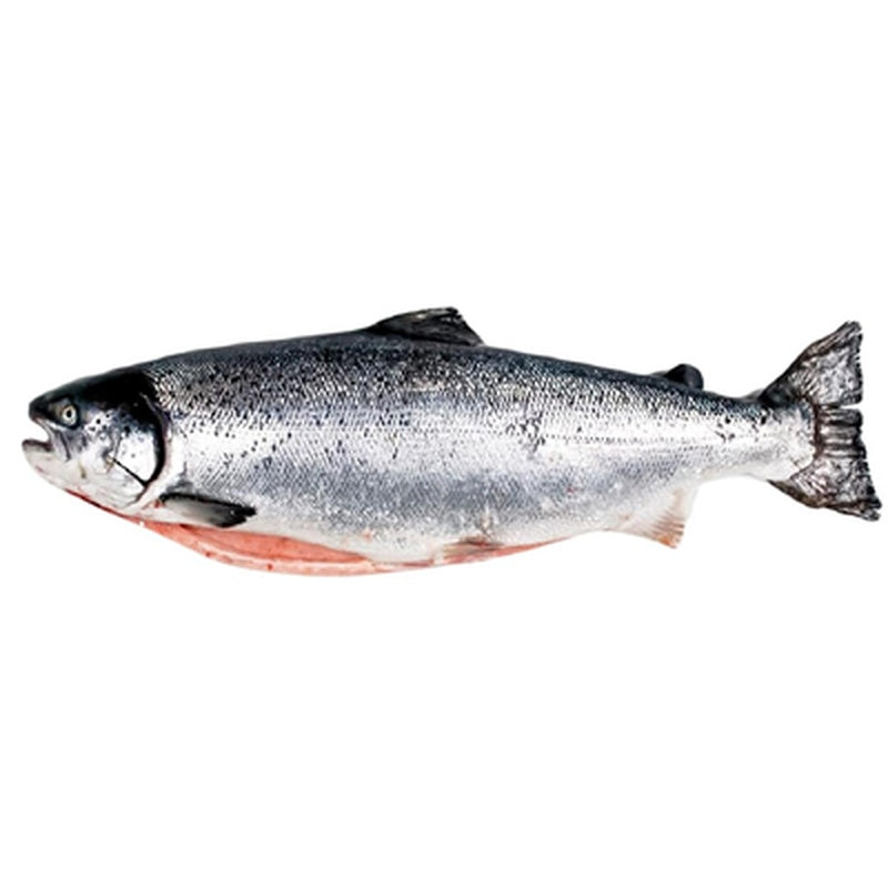 Somon Eviscerat pret/kg (4 - 5 Kg)