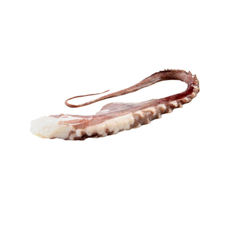 Tentacule Calamar Prefierte 800 g ❄