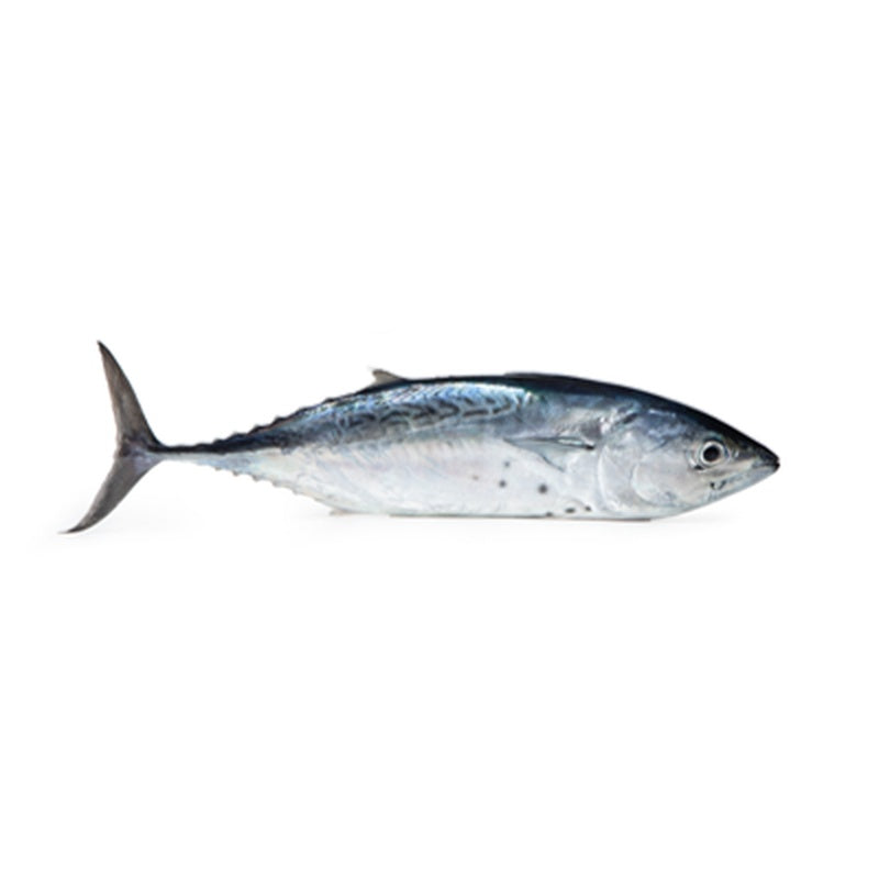 Ton Mic pret/kg (cca. 1 Kg+)