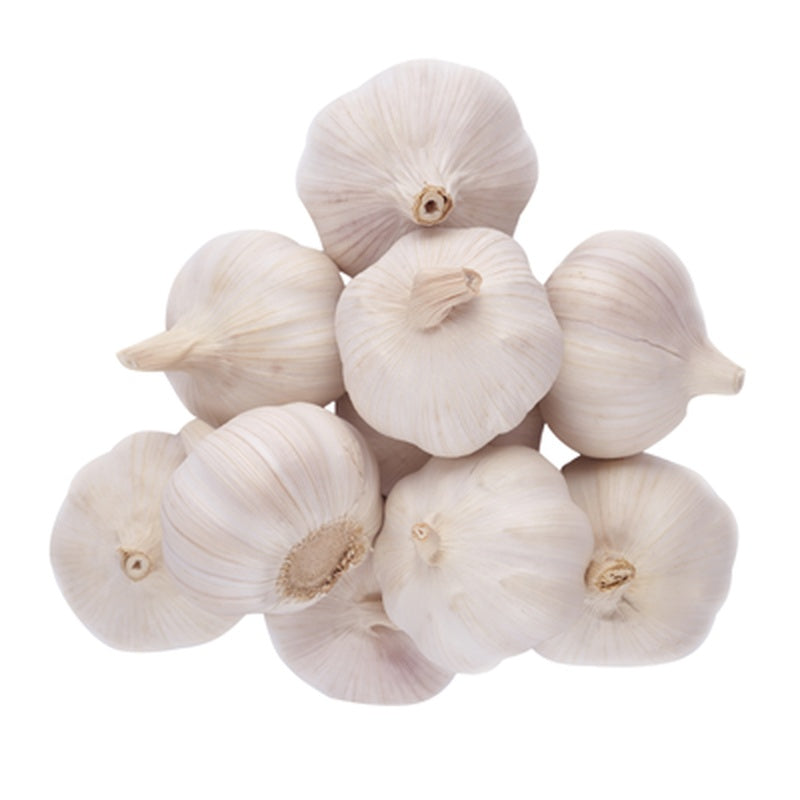 Usturoi (Allium Sativum) 1 kg