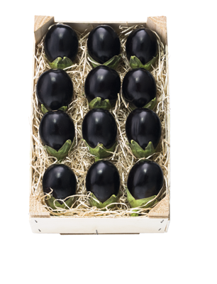 Vinete Baby (Solanum melongena) 200 g