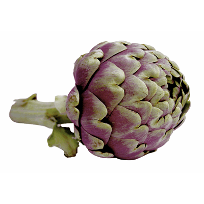 Anghinare (Cynara scolymus)