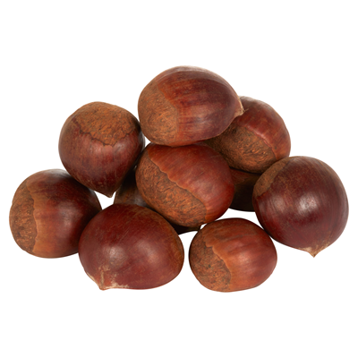Castane (Castanea sativa)