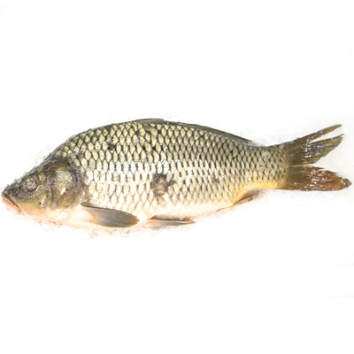 Crap Intreg 1 Kg+ (kg) - WALTI