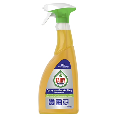 FAIRY Professional Degresant Spray 750 ml - WALTI