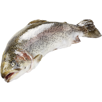 Pastrav intreg (kg)