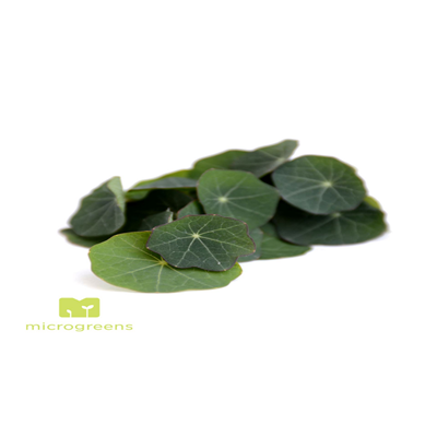 Frunze Nasturtium 25 bucati