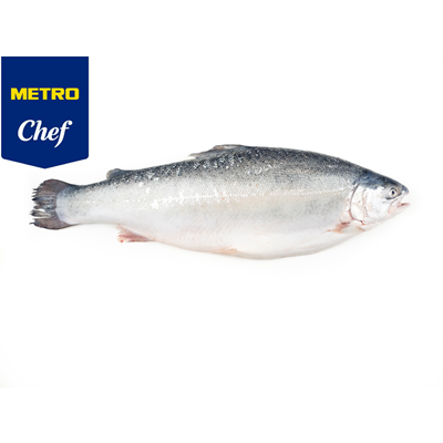 Pastrav Somonat de Fiord pret/kg (Calibru 4 - 5 Kg)