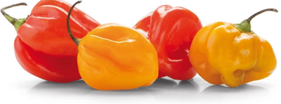 50G Ardei Iute Habanero Mix 50 g