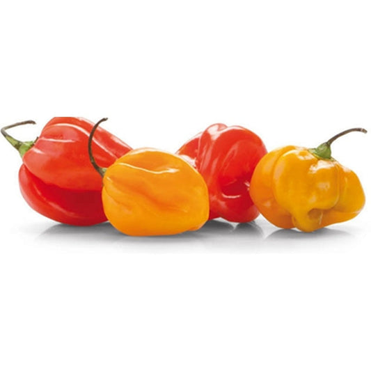 50G Ardei Iute Habanero Mix 50 g