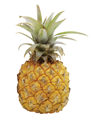 Ananas Baby