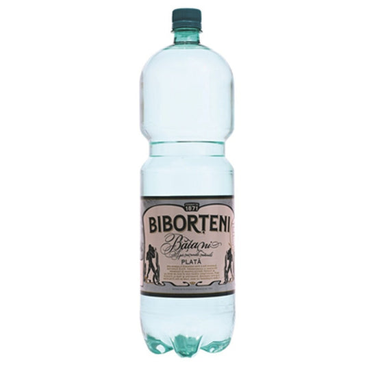 BIBORTENI Apa Minerala Plata SGR 2 L